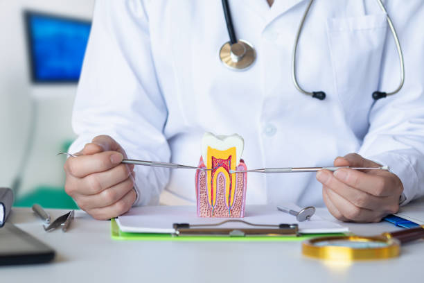 Best Tooth Infection Emergency Dentist  in Bayou Vista, LA